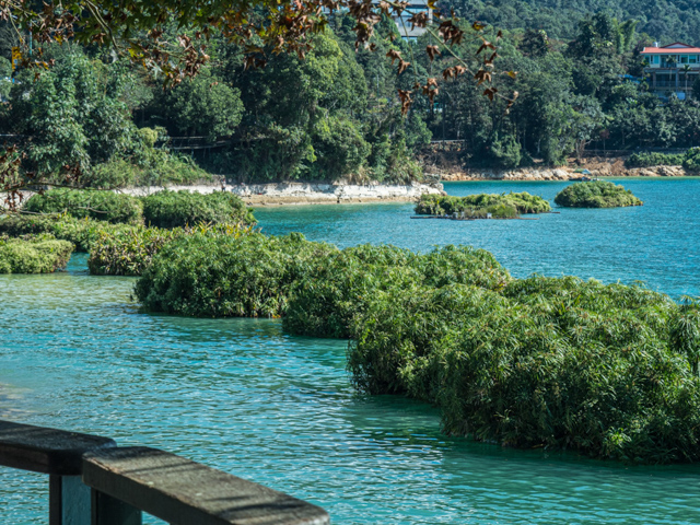 loating Plants Aerating the Lake 