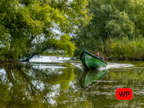 Boatman in Danube Delta