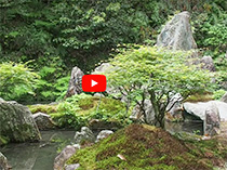 Stream in Mitaki Temple, Hiroshima, Japan